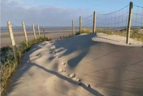 plage 日本,深度解析日本“plage”文化