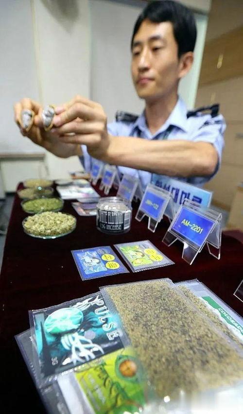 日本什么毒品,致命诱惑背后的真相