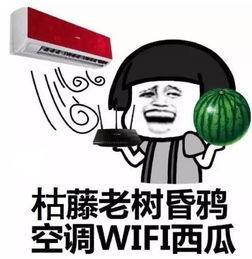 网红打假吃瓜是谁啊图片,真相与争议并存