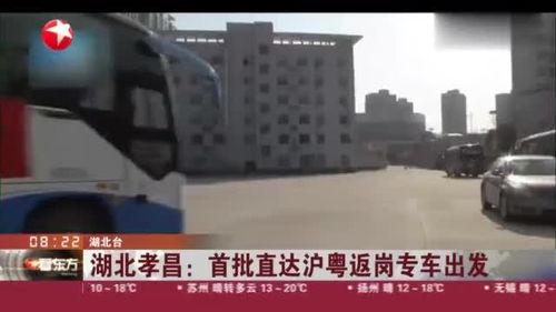 孝昌最新爆料新闻视频播放,视频揭露惊人真相，事件详情曝光！