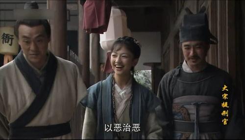 大宋提刑官免费观看,揭秘古代法医传奇，免费观看尽享悬疑探案之旅