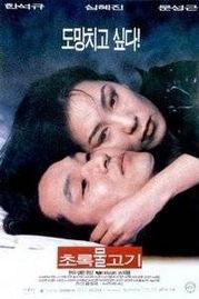 绿鱼免费观看,畅享视觉盛宴